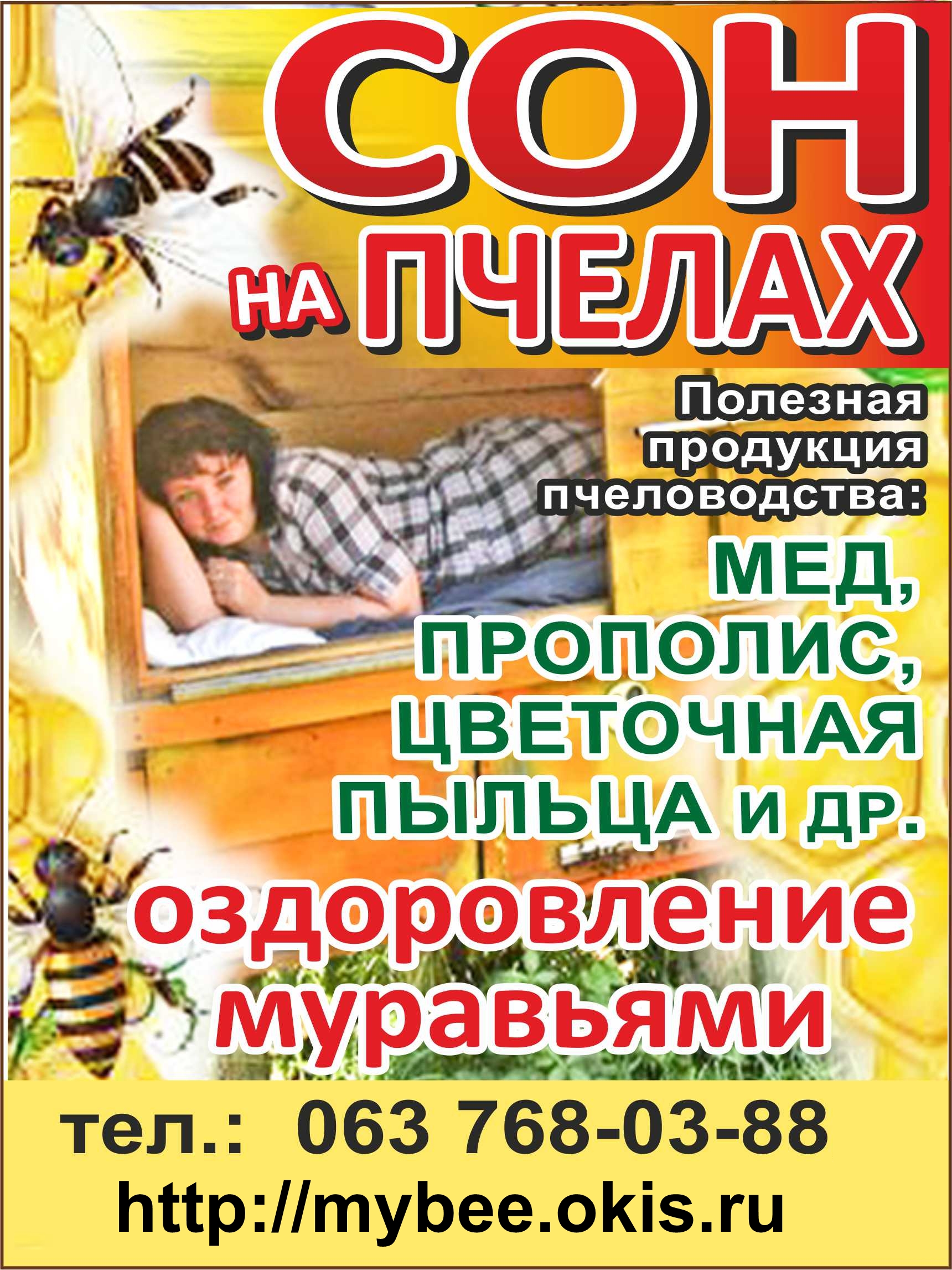 Сон с пчёлами и оздоровление муравьями